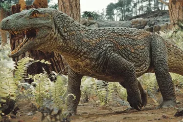 
				Cientistas acham fóssil de lagarto brasileiro anterior aos dinossauros
			
			
