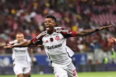 
				Flamengo dispara na frente do Palmeiras na chance de título do Brasileirão
			
			