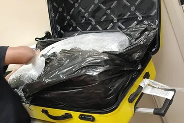 
				PF apreende 15 quilos de maconha no Aeroporto Zumbi dos Palmares
			
			