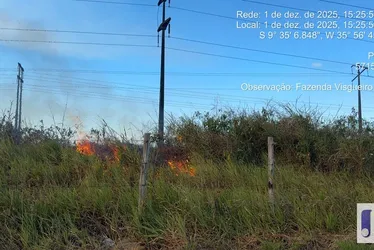 
				Queimadas criminosas avançam e desafiam ações de prevenção em Alagoas
			
			