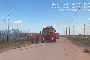 
				Queimadas criminosas avançam e desafiam ações de prevenção em Alagoas
			
			