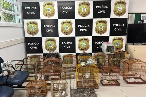 
				'Cerco Fechado' prende 15 pessoas em ação contra o crime organizado em AL
			
			