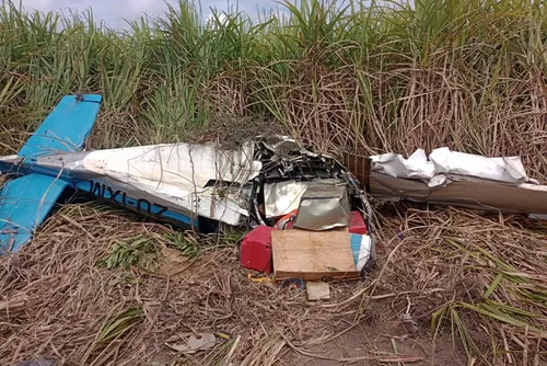 
				IML divulga identidade oficial de piloto australiano morto em queda de avião; veja!
			
			