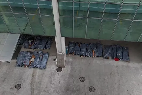 
				MPRJ identifica casos de tiro à curta distância e decapitação entre mortos da megaoperação no Rio
			
			