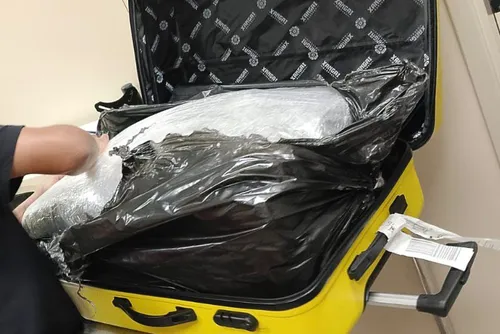 
				PF apreende 15 quilos de maconha no Aeroporto Zumbi dos Palmares
			
			