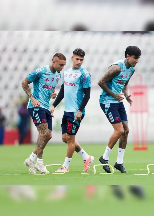 
				Flamengo tem lista de pendurados para enfrentar o Fogão; Palmeiras é o próximo adversário
			
			
