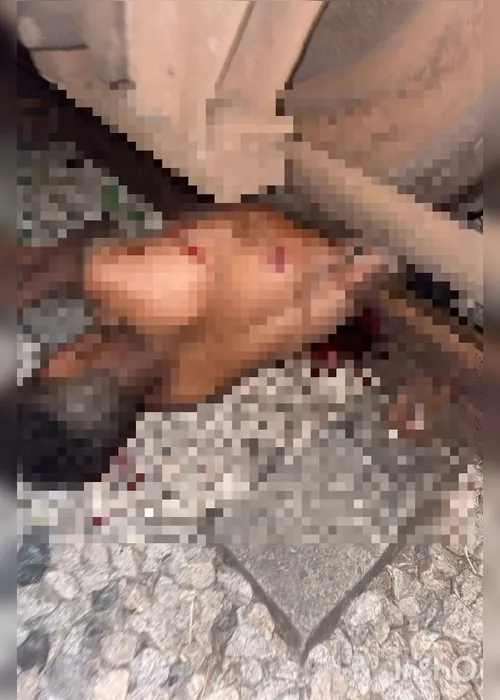 
				Homem atropelado estava sentado nos trilhos com a esposa e a empurrou ao ouvir o trem
			
			