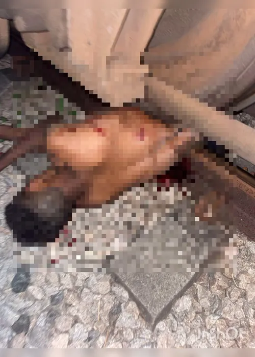 
				Trem atropela e mata homem próximo à estação em Rio Largo
			
			