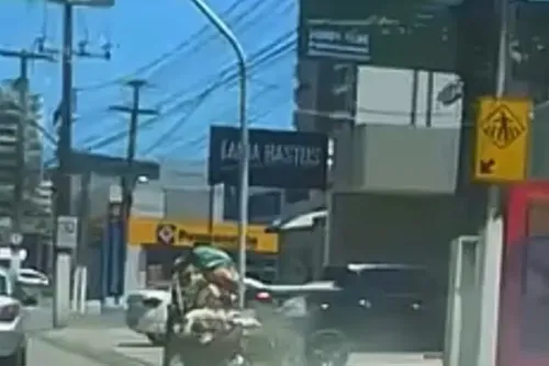 
				Animal flagrado puxando carroça desgovernada em Maceió é uma égua de 10 anos
			
			