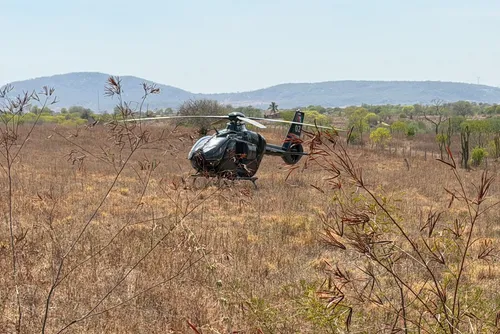 
				Tragédia no Sertão: imagens mostram mobilização no socorro a vítimas de grave acidente na AL-220
			
			