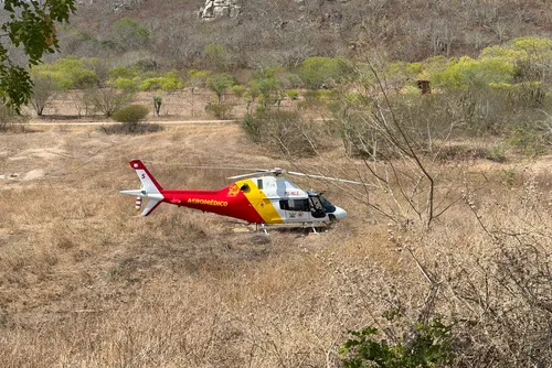 
				Tragédia no Sertão: imagens mostram mobilização no socorro a vítimas de grave acidente na AL-220
			
			
