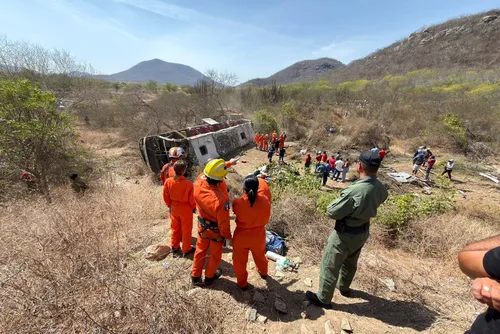 
				Tragédia no Sertão: imagens mostram mobilização no socorro a vítimas de grave acidente na AL-220
			
			