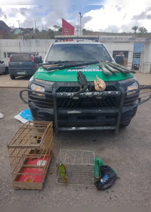 
				Polícia apreende armas e aves silvestres durante operação contra crime ambiental em Joaquim Gomes
			
			
