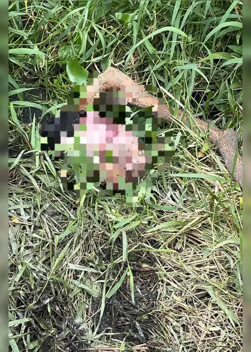 
				Após achado da cabeça, corpo de adolescente é localizado em açude no Salvador Lyra
			
			
