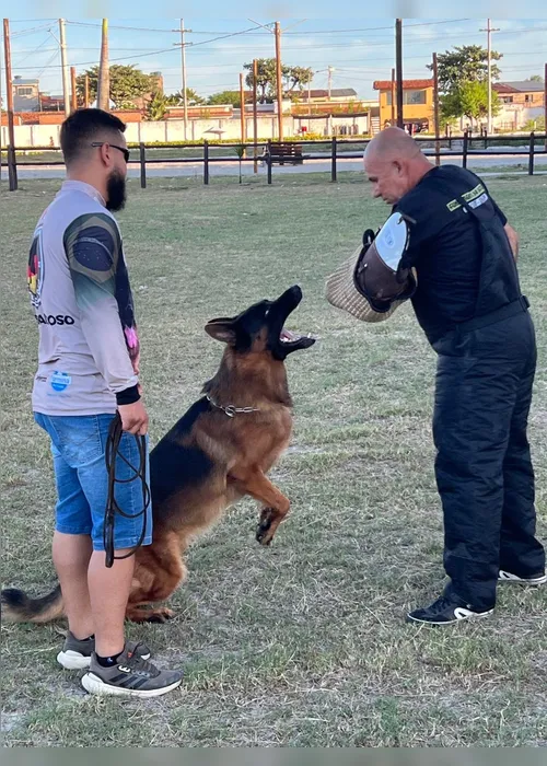
				Encontro de Pastor Alemão, no Parque da Pecuária, reunirá os melhores cães da raça em Alagoas
			
			