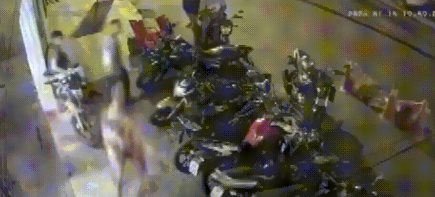 
				Grupo agride torcedor e rouba camisa do CRB em Maceió; moradores apontam briga entre torcidas
			
			