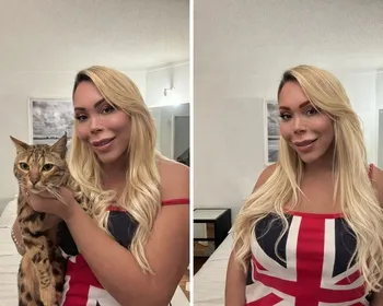 Cuidar de gatos pode ser lucrativo? Entenda a remuneração da 'babá felina'