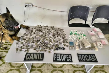 
				PM apreende mais de 600kg de drogas e 38 armas em Alagoas

			