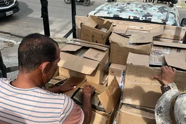 
				Polícia apreende cerca de 400 kg de drogas em residência em Arapiraca

			