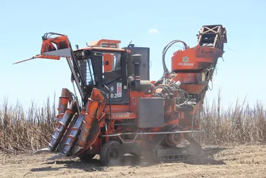 
				Usina em AL importa máquinas da Índia para enfrentar falta de mão de obra
			
			