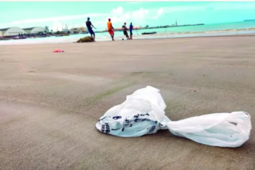 
				Lixo “esquecido” na praia invade os oceanos, afeta ecossistemas e acaba com vidas marinhas
			
			