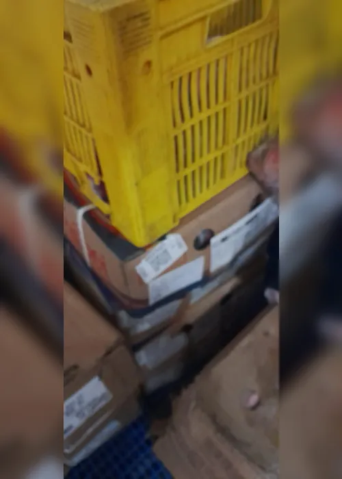 
				Vigilância Sanitária apreende 150 kg de carne imprópria em distribuidora no Canaã, em Maceió
			
			