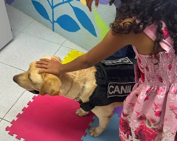 Cão de apoio emocional transforma rotina de crianças vítimas de violência