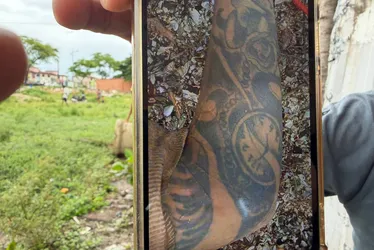 
				Corpo sem cabeça e pernas é achado dentro de saco no Vergel
			
			