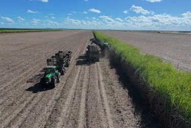 
				Porto Rico bate recorde de etanol e supera maior usina do Nordeste
			
			