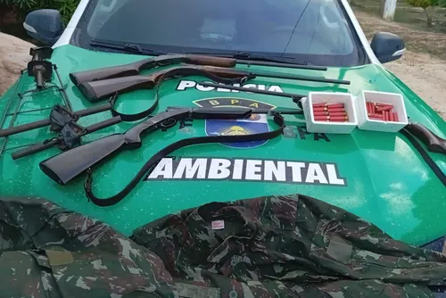 
				Operação contra crimes ambientais apreende armas e resgata animais em AL
			
			