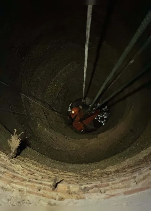 
				Bombeiros resgatam boi que caiu em poço de 30 metros em Feira Grande; vídeo!
			
			