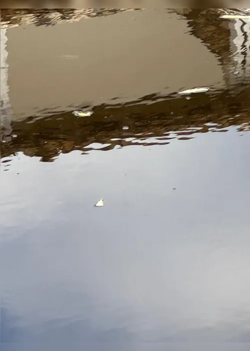 
				Polícia Civil abre investigação após peixes aparecerem mortos na Barra de São Miguel

			