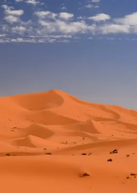 Mais de 40 pessoas morrem de sede no deserto do Saara após caminhão quebrar