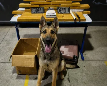 Casal é preso com mais de 25 kg de maconha após tentativa de fuga em Arapiraca