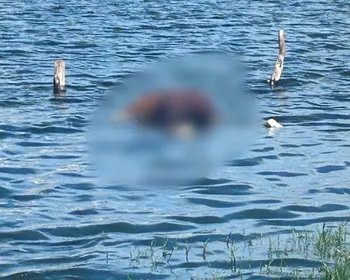 Corpo é encontrado boiando em açude no município de Craíbas