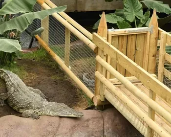 Homem é preso suspeito de jogar criança aos crocodilos