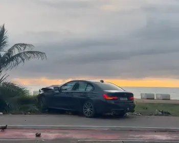 Motorista perde controle, invade calçada e derruba coqueiro na orla