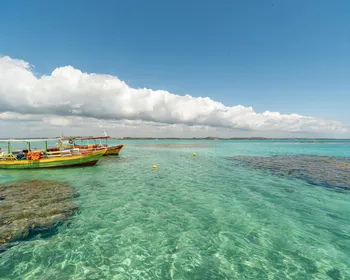 Norte de Alagoas cresce em ritmo chinês