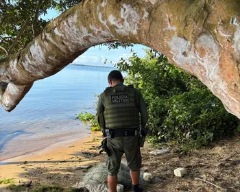 Operação resgata 680 animais e apreende armas, madeira e carne de caça ilegal em Alagoas