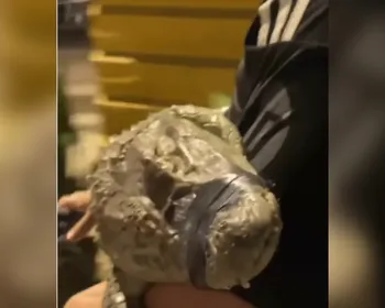 Polícia identifica adolescente flagrado levando jacaré em bicicleta