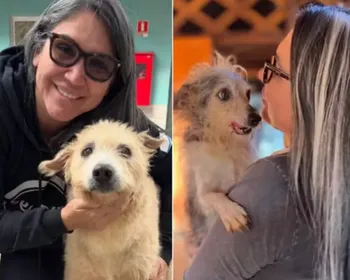 Protetora ou carrasca? Quem é a ex-secretária presa por matar animais