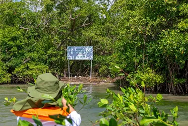
				Aflora Mangue vai plantar mais de 60 mil mudas na APA Santa Rita
			
			