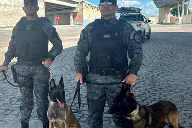 
				Alagoas intensifica ofensiva contra o crime organizado com inteligência, operações integradas e prisões estratégicas
			
			