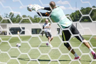 
				Brasil realiza treino em preparação para a partida contra o Haiti; confira as imagens
			
			
