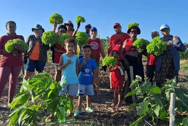 
				Cozinhas Solidárias do MTST transformam combate à fome em política pública e fortalecimento comunitário
			
			