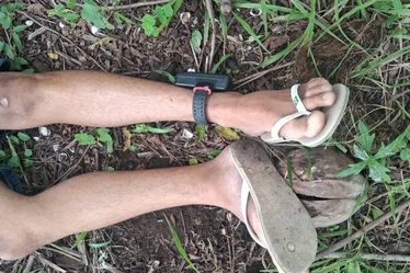 
				Duplo homicídio: homens são encontrados mortos em área de mata em Porto de Pedras
			
			