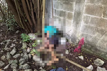 
				Jovem é encontrado morto com tiro na cabeça em terreno baldio
			
			