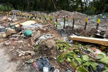 
				Moradores denunciam descarte irregular de lixo em via de acesso ao Pontal da Barra
			
			
