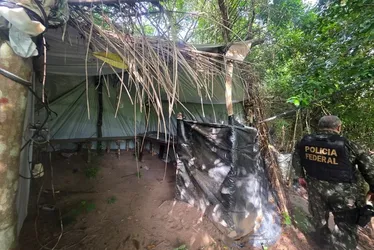 
				Operação destrói mais de 2 mil pés de maconha e cumpre 22 mandados em AL e PE

			