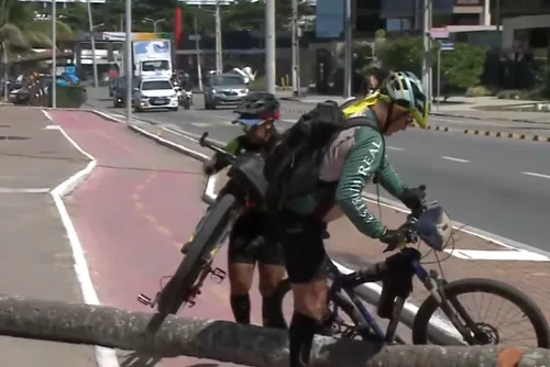 
				Coqueiro cai e bloqueia ciclovia na orla de Jatiúca
			
			